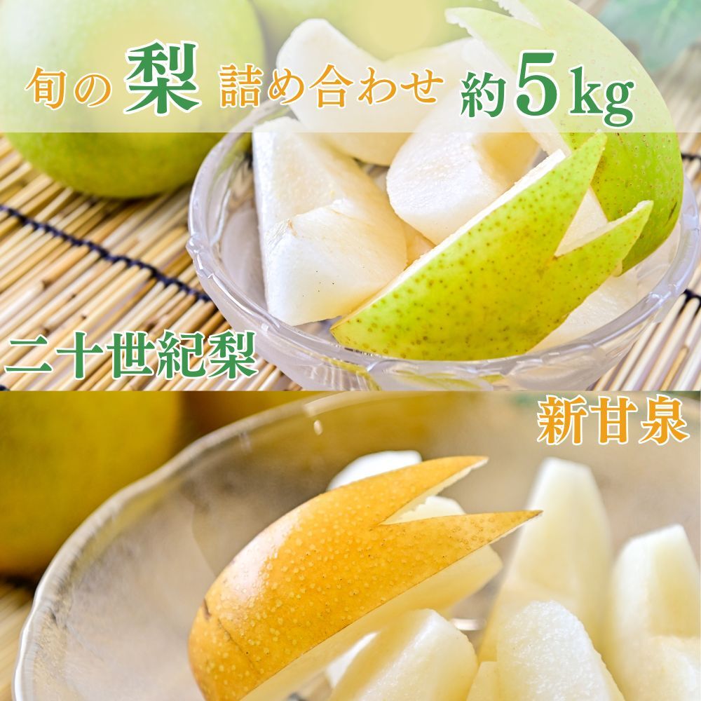 【ふるさと納税】 【数量限定】「ス梨・果ラット ダイヤ」 二十世紀梨 新甘泉 セット（5kg）【倉吉産】令和8年産 梨 鳥取 梨 5kg 果物 フルーツ 和梨 先行予約 数量限定 詰め合わせ 二十世紀梨 新甘泉 20世紀梨 セット 食べ比べ｜鳥取県倉吉市
