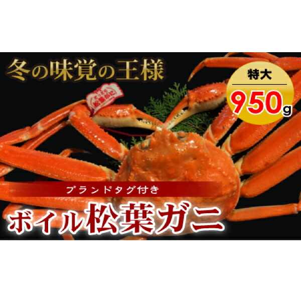 ふるさと納税 北栄町 鳥取県産タグ付きボイル松葉ガニ中1枚(600g〜700g)