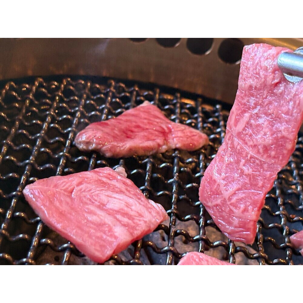 【ふるさと納税】鳥取黒毛和牛もも焼肉用(360g) | 牛肉 和牛 黒毛和牛 鳥取和牛 もも肉 モモ肉 赤身 焼肉 焼肉用 カット済み ヘルシー あっさり｜鳥取県境港市