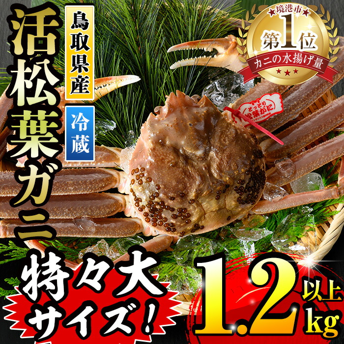【ふるさと納税】＜先行予約受付中！11月中旬～3月中旬発送予定＞＜期間限定＞活松葉ガニ 特々大 1.2kg以上 国産 境港 かに カニ 松葉ガニ 松葉蟹 浜茹で 海鮮 蟹味噌 かに味噌 鍋 冷蔵 コンシェルジュ 【sm-BE003】【川口商店】