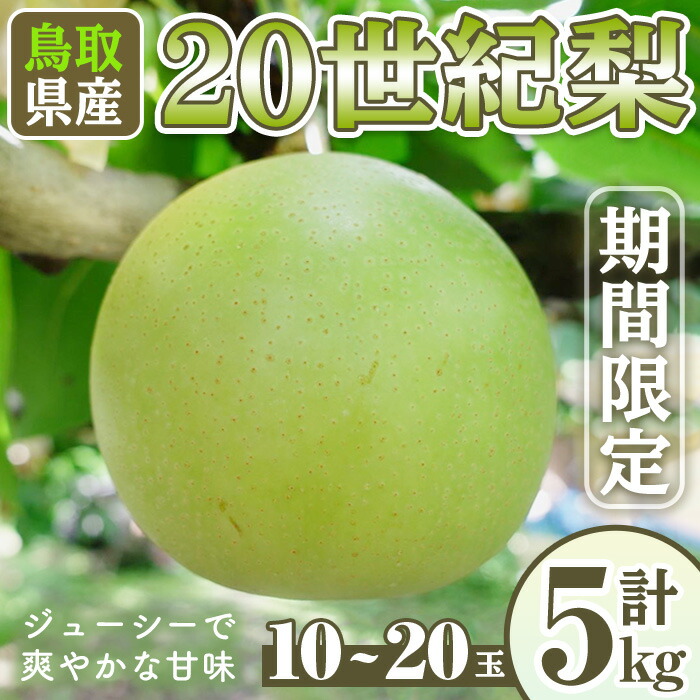 【ふるさと納税】＜先行予約受付中！9月上旬～11月中旬発送予定＞＜数量限定＞こばやし農園20世紀梨(計5kg・10～20玉) ジューシー 完熟 なし ナシ 果物 くだもの フルーツ 旬 【sm-CK001】【こばやし農園】