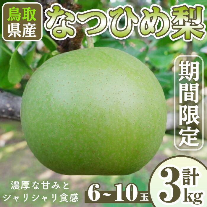 【ふるさと納税】＜先行予約受付中！8月下旬～10月下旬発送予定＞＜数量限定＞こばやし農園なつひめ梨(計3kg・6～10玉) ジューシー 完熟 なし ナシ 果物 くだもの フルーツ 旬 【sm-CK002】【こばやし農園】