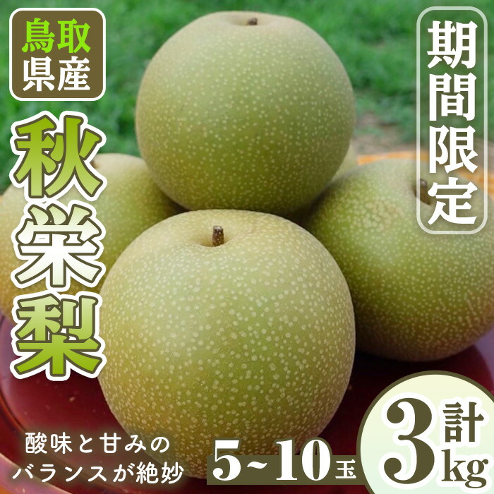 【ふるさと納税】＜先行予約受付中！8月上旬～10月上旬発送予定＞＜数量限定＞こばやし農園秋栄梨(計3kg・5～10玉) なし ナシ 果物 くだもの フルーツ 旬 【sm-CK004】【こばやし農園】