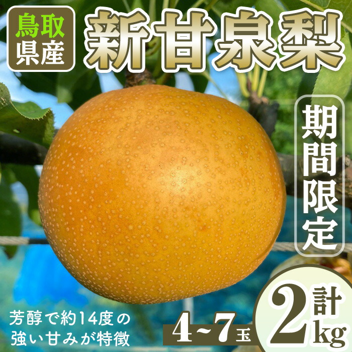【ふるさと納税】＜先行予約受付中！8月下旬～10月下旬発送予定＞＜数量限定＞こばやし農園新甘泉梨(計2kg・4～7玉) なし ナシ 果物 くだもの フルーツ 旬 【sm-CK005】【こばやし農園】