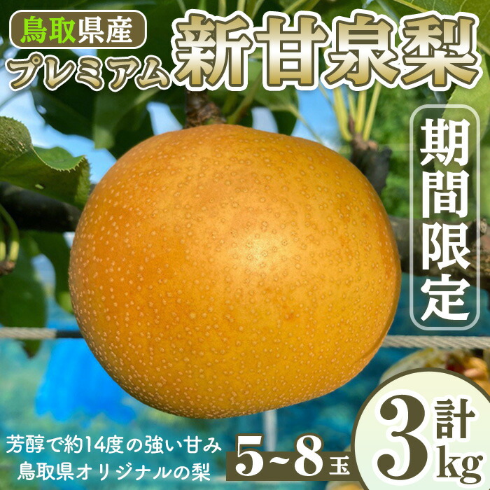 【ふるさと納税】＜先行予約受付中！8月下旬～11月上旬発送予定＞＜数量限定＞こばやし農園プレミアム新甘泉梨(計3kg・5～8玉) なし ナシ 果物 くだもの フルーツ 旬 【sm-CK006】【こばやし農園】