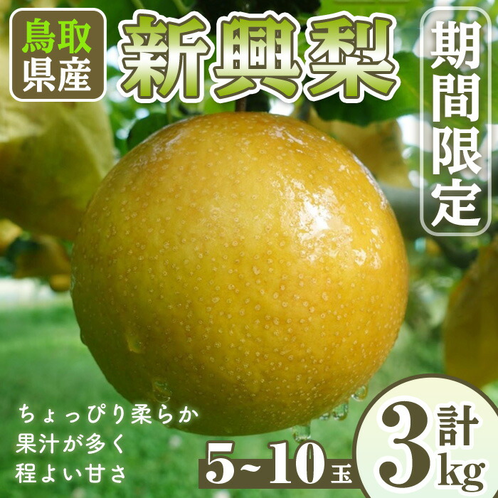 【ふるさと納税】＜先行予約受付中！10月上旬～12月下旬発送予定＞＜数量限定＞こばやし農園新興梨(計3kg・5～10玉) なし ナシ 果物 くだもの フルーツ 旬 【sm-CK007】【こばやし農園】