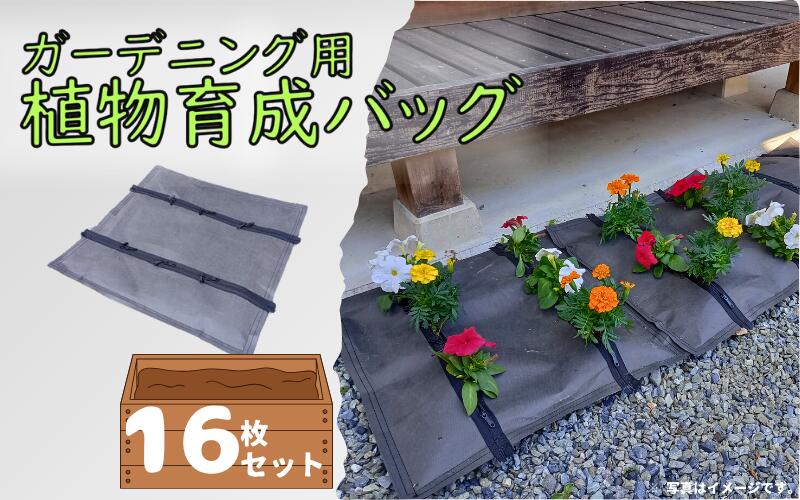 鳥取の梨～特集～