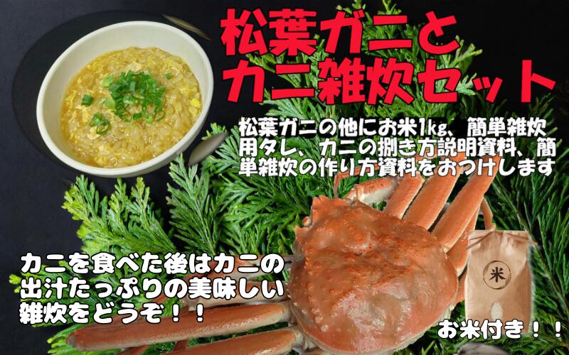 【ふるさと納税】岩美町特産 茄で松葉ガニ簡単雑炊セット|鳥取 松葉がに カニ お米付き 雑炊※お届けは2026年11月~【24024】|鳥取県岩美町