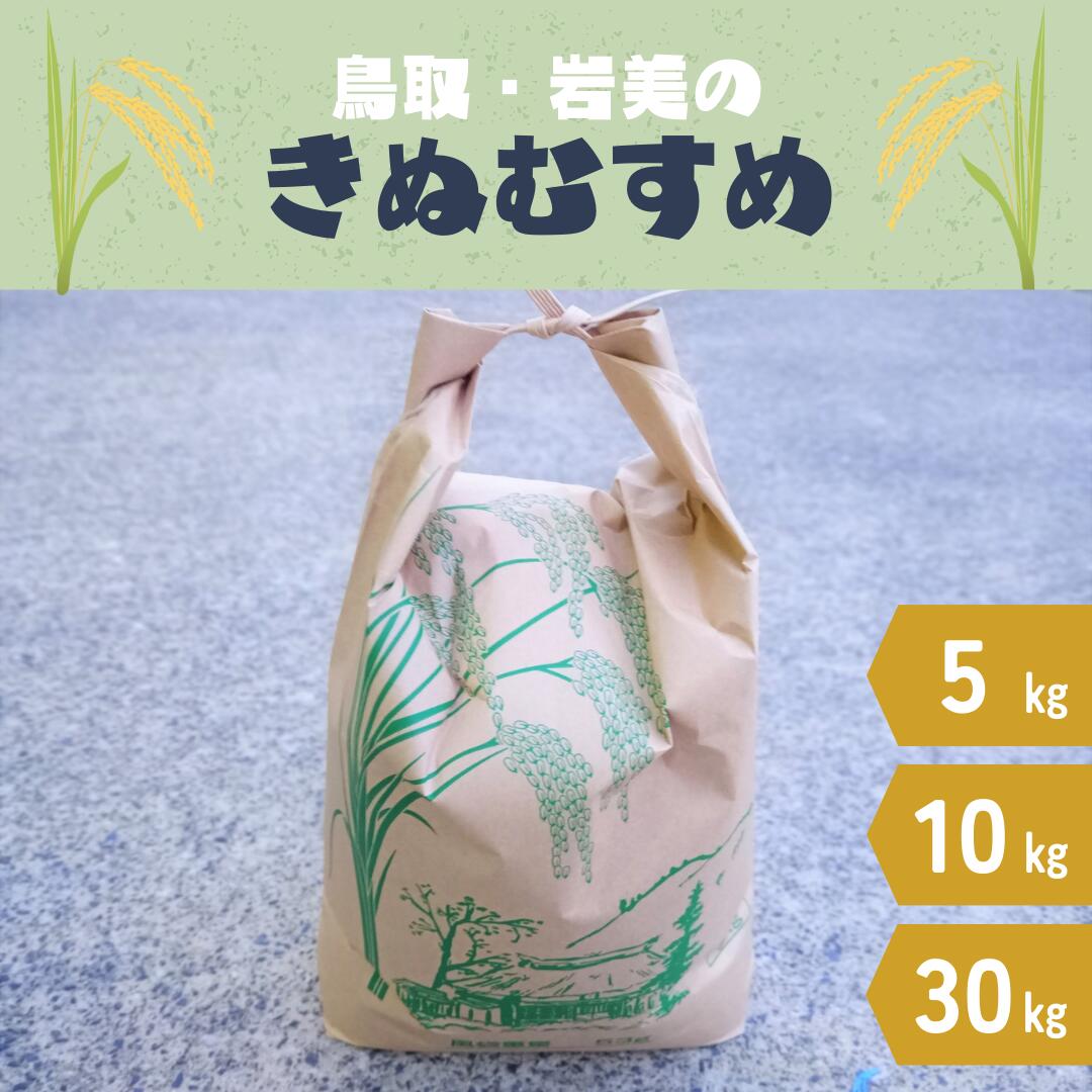 【ふるさと納税】【2025年産 先行予約】岩美のきぬむすめ 5～30kg 玄米｜鳥取 岩美 お米 おこめ コメ 選べる内容量 5kg 10kg 30kg