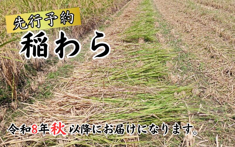 鳥取の梨～特集～