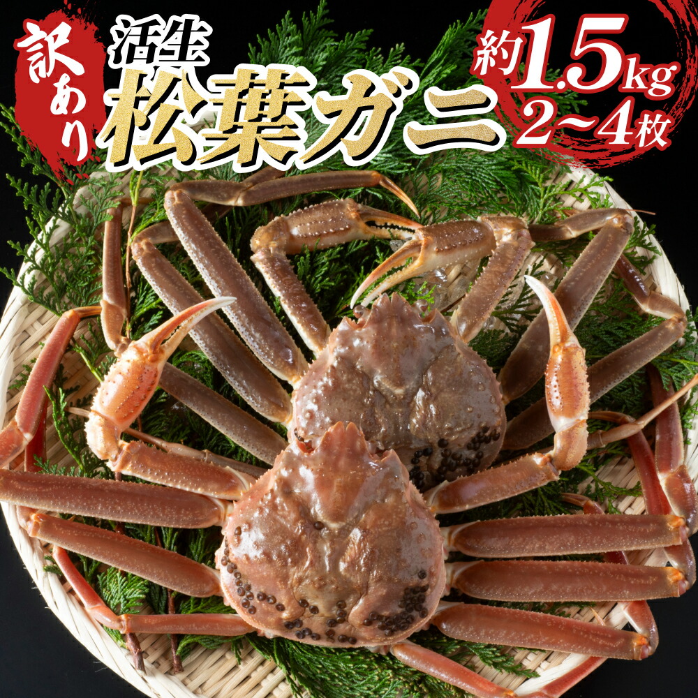 ふるさと納税】訳あり松葉がに（生）｜鳥取県 岩美町 蟹 かに