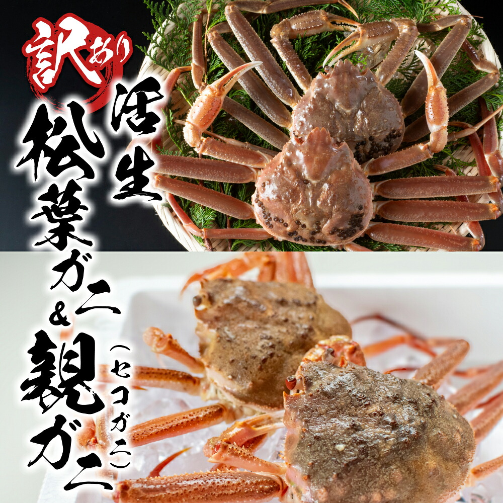 【ふるさと納税】訳あり松葉がに 親がに 夫婦セット(生)鳥取県網代産【先行予約】|鳥取県 岩美町 蟹 かに カニ 松葉ガニ 親ガニ ズワイガニ 訳あり 訳アリ 新鮮 魚介 食べ比べ 詰め合わせ セット 冷蔵 ※お届けは2026年11月中旬~【22013】|鳥取県岩美町