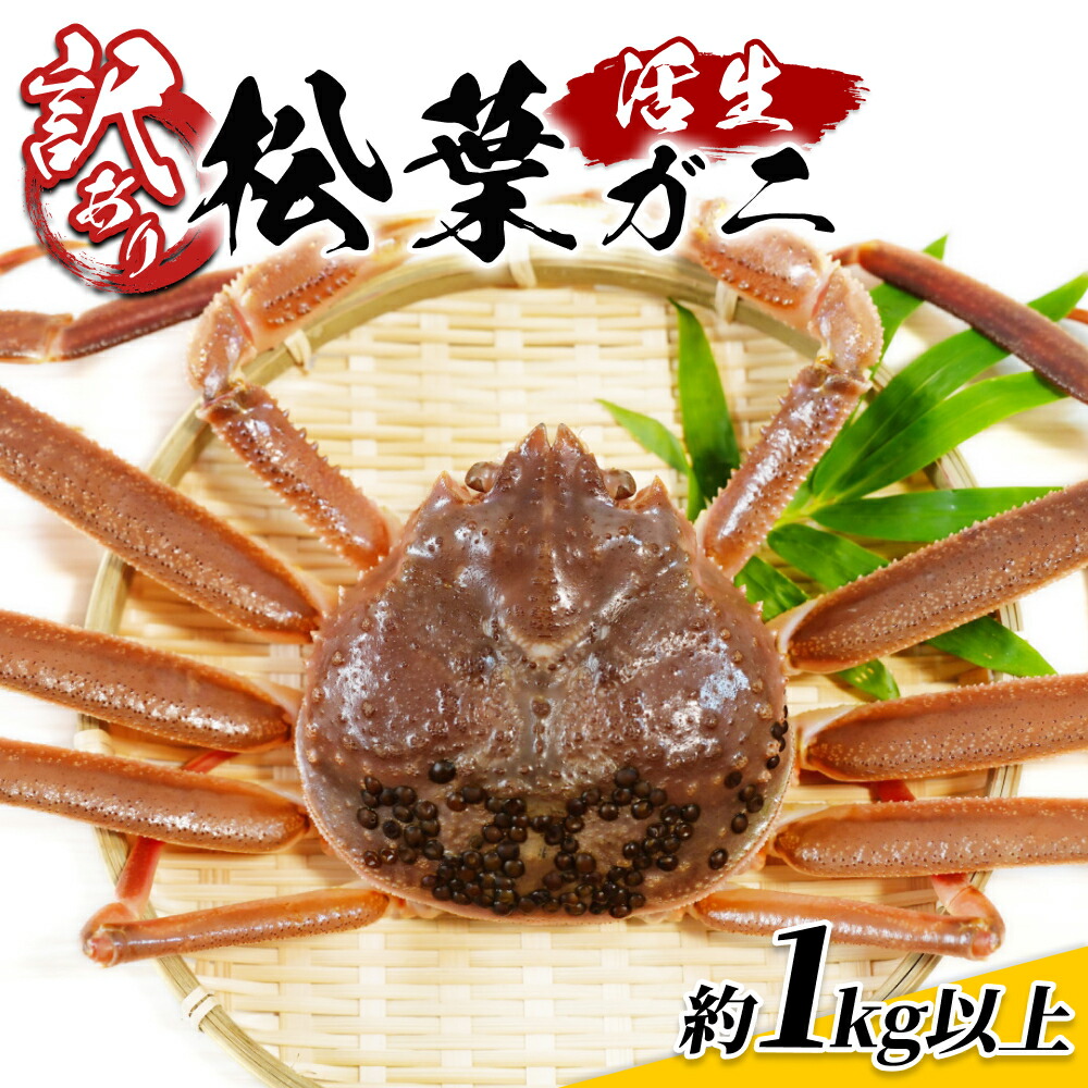 【ふるさと納税】訳あり松葉がに 1kgセット 鳥取県網代産｜鳥取県 岩美町 蟹 かに カニ 松葉がに 松葉ガニ ズワイガニ 訳あり 訳アリ 新鮮 魚介 冷蔵 ※お届けは2026年11月中旬～【22016】｜鳥取県岩美町