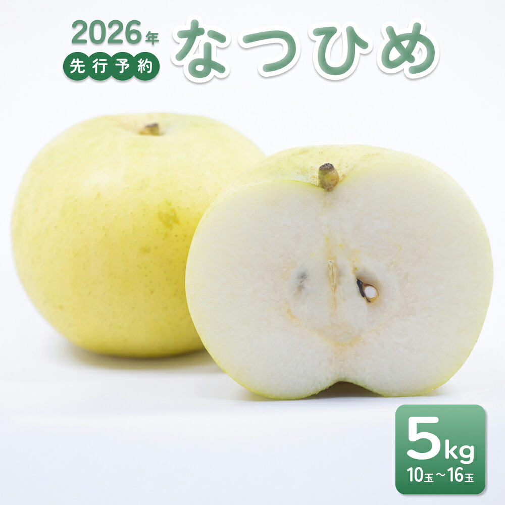 【ふるさと納税】【2026年 先行予約】なつひめ 5kg｜鳥取 鳥取県産 東光園 梨 なし 2026年収穫後 2026年8月下旬から順次発送※着日指定不可【41067】｜鳥取県岩美町