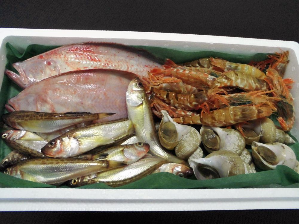 コンビニ受取対応商品 E 14 岩美町旬の魚セットｂ 在庫一掃 Vancouverfamilymagazine Com