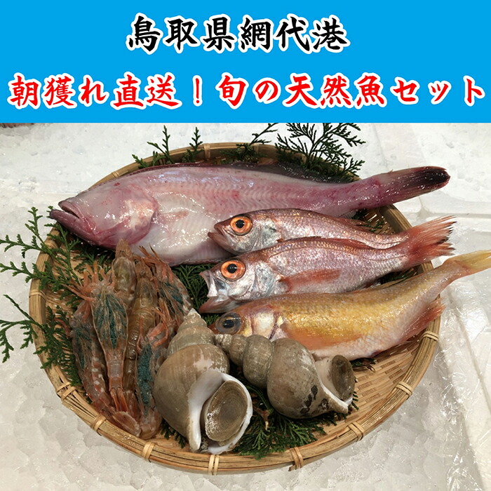 【ふるさと納税】 朝獲れ直送！旬の天然魚セット 鳥取網代港さかなや新鮮組】｜鳥取県 岩美町 魚 直送 朝獲れ 冷蔵 天然魚【21007】｜鳥取県岩美町