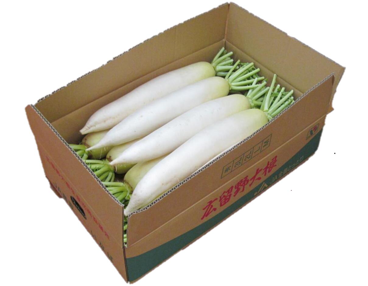 夏大根