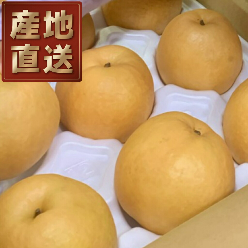 【ふるさと納税】261．【先行予約】【産地直送】新興梨（しんこうなし）　５ｋｇ