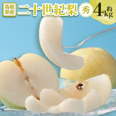 【ふるさと納税】【先行予約】二十世紀梨　秀 約4kg【配送不可地域：離島・北海道・沖縄県】【1532296】