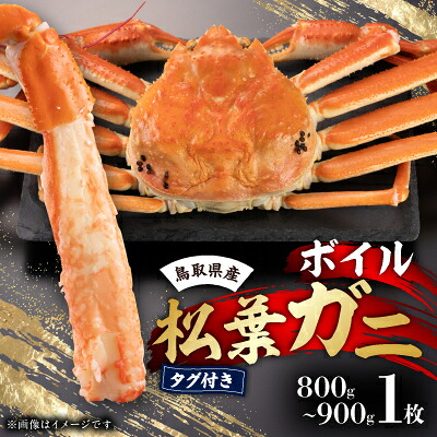 【ふるさと納税】鳥取県産 タグ付きボイル松葉ガニ大1枚(800~900g)【配送不可地域:離島・北海道・沖縄県】【1536352】|鳥取県智頭町