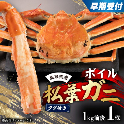 【ふるさと納税】早期受付　鳥取県産タグ付きボイル松葉ガニLL　1枚【2026/10/31までのお申し込み分】【配送不可地域：離島・北海道・沖縄県】【1536365】｜鳥取県智頭町