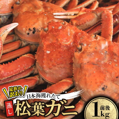 【ふるさと納税】【先行予約】訳あり足が折れた蒸し松葉ガニ1kg前後 ※11月中旬から順次発送【配送不可地域:離島・北海道・沖縄県】【1536861】|鳥取県智頭町