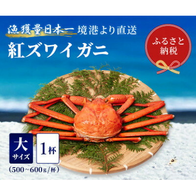 【ふるさと納税】【蟹セレブ】ズワイガニ(紅ズワイガニ)大1杯(500～600g×1)【配送不可地域：離島・北海道・沖縄県・東北・関東・信越、北陸・東海・九州】【1543623】 17,250円