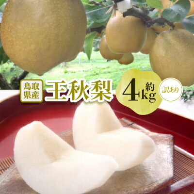 【ふるさと納税】【訳あり】王秋梨 4kg(4～13玉前後)【配送不可地域：離島・北海道・沖縄県】【1554509】