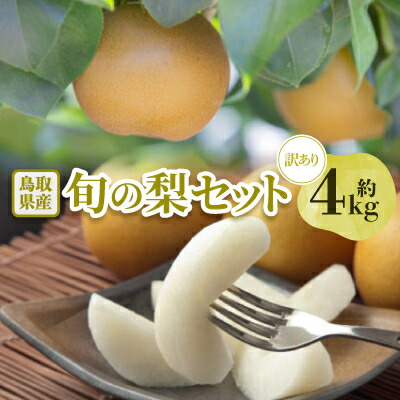 【ふるさと納税】【訳あり】鳥取県産旬の梨セット 4kg【配送不可地域：離島・北海道・沖縄県】【1554510】
