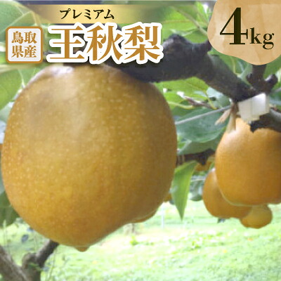 【ふるさと納税】プレミアム王秋梨　4kg【配送不可地域：離島・北海道・沖縄県】【1593367】