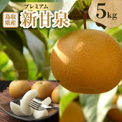 トレカなし RUNSEOKJIN in JAPAN RING S 7号 トレカなし RUNSEOKJIN in JAPAN RING S 7号