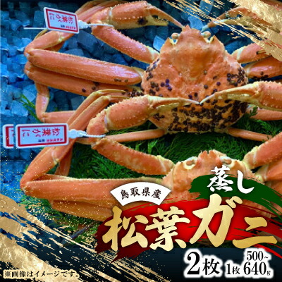 【ふるさと納税】【先行予約】【蒸し】タグ付き松葉ガニ 中2枚(500~640g前後/枚) ※11月中旬から順次発送【配送不可地域:離島・北海道・沖縄県】【1596410】|鳥取県智頭町