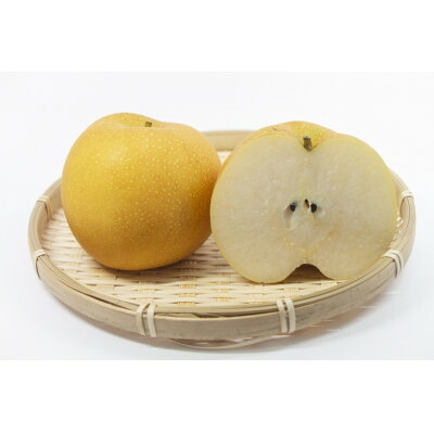 【ふるさと納税】新甘泉　ハーフ箱【配送不可地域：離島・北海道・沖縄県】【1601418】