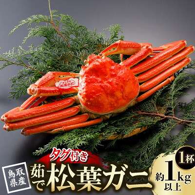 【ふるさと納税】【先行予約】鳥取県産 タグ付き 茹松葉がに 1kg以上×1杯(中村商店)2027年1月末より順次発送【配送不可地域:離島・北海道・沖縄県・東北・信越、北陸】【1648752】|鳥取県智頭町