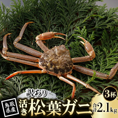 【ふるさと納税】【先行予約】鳥取県産 訳あり 活 松葉がに 700g&times;3杯(中村商店)2026年11月発送【配送不可地域：離島・北海道・沖縄県・東北・信越、北陸】【1653966】｜鳥取県智頭町
