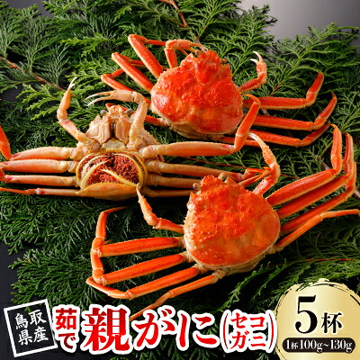 【ふるさと納税】【先行予約】鳥取県産 茹 親がに(セコガニ)100～130g&times;5杯 2026年11月発送【配送不可地域：離島・北海道・沖縄県・東北・信越、北陸】【1654352】｜鳥取県智頭町