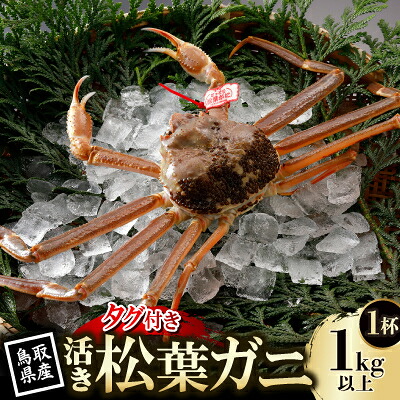 【ふるさと納税】【先行予約】鳥取県産 タグ付き 活松葉がに 1kg以上×1杯(中村商店)26年12月・27年1月発送【配送不可地域:離島・北海道・沖縄県・東北・信越、北陸】【1692715】|鳥取県智頭町