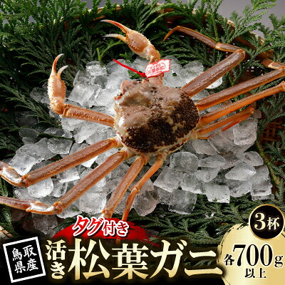 【ふるさと納税】【先行予約】鳥取県産 タグ付き 活 松葉がに 700g×3杯(中村商店)2027年1月末より順次発送【配送不可地域:離島・北海道・沖縄県・東北・信越、北陸】【1692904】|鳥取県智頭町