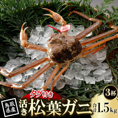 【ふるさと納税】【先行予約】鳥取県産 タグ付き 活 松葉がに 500g×3杯(中村商店)2027年1月末より順次発送【配送不可地域:離島・北海道・沖縄県・東北・信越、北陸】【1692908】|鳥取県智頭町