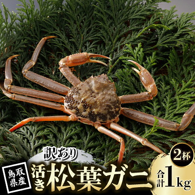 【ふるさと納税】【先行予約】鳥取県産 訳あり 活 松葉がに 500g×2杯(中村商店)2027年1月末より順次発送【配送不可地域:離島・北海道・沖縄県・東北・信越、北陸】【1692920】|鳥取県智頭町