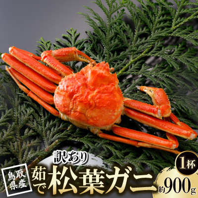 【ふるさと納税】【先行予約】鳥取県産 訳あり 茹 松葉がに 900g×1杯(中村商店)2027年1月末より順次発送【配送不可地域:離島・北海道・沖縄県・東北・信越、北陸】【1692932】|鳥取県智頭町