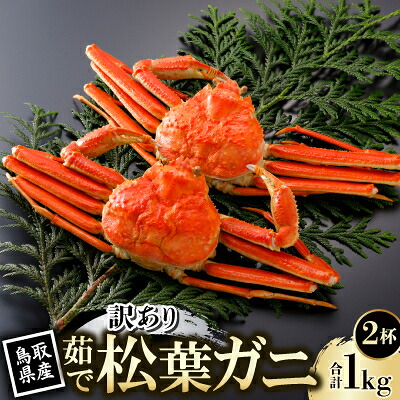 【ふるさと納税】【先行予約】鳥取県産 訳あり 茹 松葉がに 500g×2杯(中村商店)2027年1月末より順次発送【配送不可地域:離島・北海道・沖縄県・東北・信越、北陸】【1692939】|鳥取県智頭町