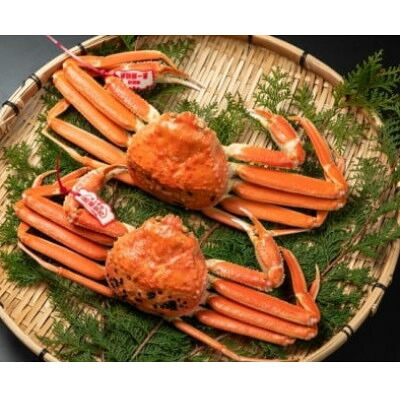 【ふるさと納税】【11月中旬以降順次発送】ブランドタグ付ボイル松葉ガニ　600～700gを2枚　OM-27【配送不可地域：離島・北海道・沖縄県・東北・信越、北陸】【1745603】｜鳥取県智頭町