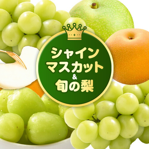 【ふるさと納税】【先行予約】梨 なし シャインマスカット と 旬 の 梨 セット (小) (大) 高間商店《2025年8月下旬-10月中旬頃出荷》 鳥取県 八頭町 果物 くだもの フルーツ マスカット ナシ ぶどう ブドウ