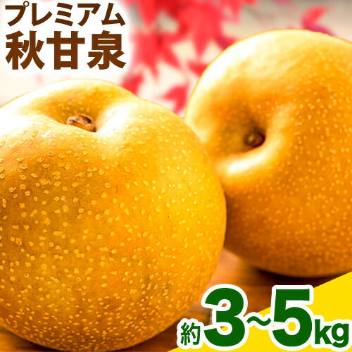 【ふるさと納税】【先行予約】プレミアム 秋甘泉 選べる 約 3kg (4～10玉) 約 5kg (7～16玉) 高間商店《2025年8月下旬-10月上旬頃出荷》鳥取県 八頭町 梨 なし ナシ 果物 フルーツ プレミアム　果汁　ふるさと納税　秋甘泉梨　果実　甘い　高間商店　オリジナル品種