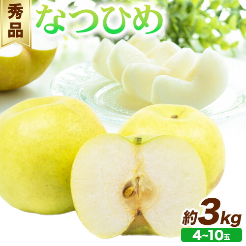 【ふるさと納税】【先行予約】秀品 なつひめ 約3kg (4~10玉)《2025年8月中旬-9月上旬頃出荷》鳥取県 八頭町 梨 なし ナシ 果物 フルーツ 秀品 なつひめ ギフト　果汁　先行予約　ふるさと納税　国産　高間商店