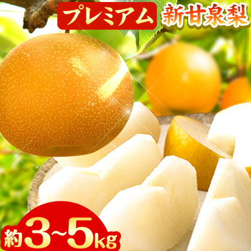 【ふるさと納税】【先行予約】なし 梨 プレミアム 新甘泉 選べる 約3kg (4～10玉) 約5kg (7～16玉) 高間商店《2025年8月下旬-10月上旬頃出荷》 鳥取県 八頭町 梨 なし ナシ 果物 フルーツ 厳選 先行予約 ふるさと納税 送料無料 甘い 果実 果汁 デザート 新甘泉梨 赤梨