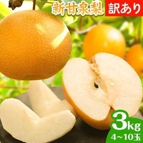 【ふるさと納税】【先行予約 】訳あり なし 梨 新甘泉 約3kg (4~10玉) 高間商店《2025年8月下旬-10月上旬頃出荷》 鳥取県 八頭町 梨 なし ナシ 果物 フルーツ  ご家庭用 訳あり 先行予約 ふるさと納税 送料無料 甘い 果実 果汁 デザート 新甘泉梨 赤梨