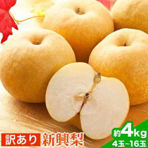 【ふるさと納税】訳あり 新興梨 約4kg (4~16玉) 高間商店《10月上旬-11月下旬頃出荷》鳥取県 八頭町 梨 なし ナシ 果物 フルーツ 厳選 訳あり 送料無料 新興梨 甘い 果実 果汁 高間商店