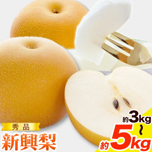 【ふるさと納税】秀品 新興梨 選べる内容量 約3kg (3～10玉) 約4kg (4～13玉) 約5kg (5～16玉) 高間商店《2025年10月中旬-12月上旬頃出荷》鳥取県 八頭町 梨 なし ナシ 果物 フルーツ 秀品 新興梨 甘い 果汁 果実 くだもの